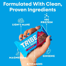 TRIBE Protein + Focus Flapjack Bars - Bestsellers Variety Box (12 x 60g) | Vegan Protein Bar | Lion's Mane, Ginseng + 9 Nutrients For Clarity & Natur