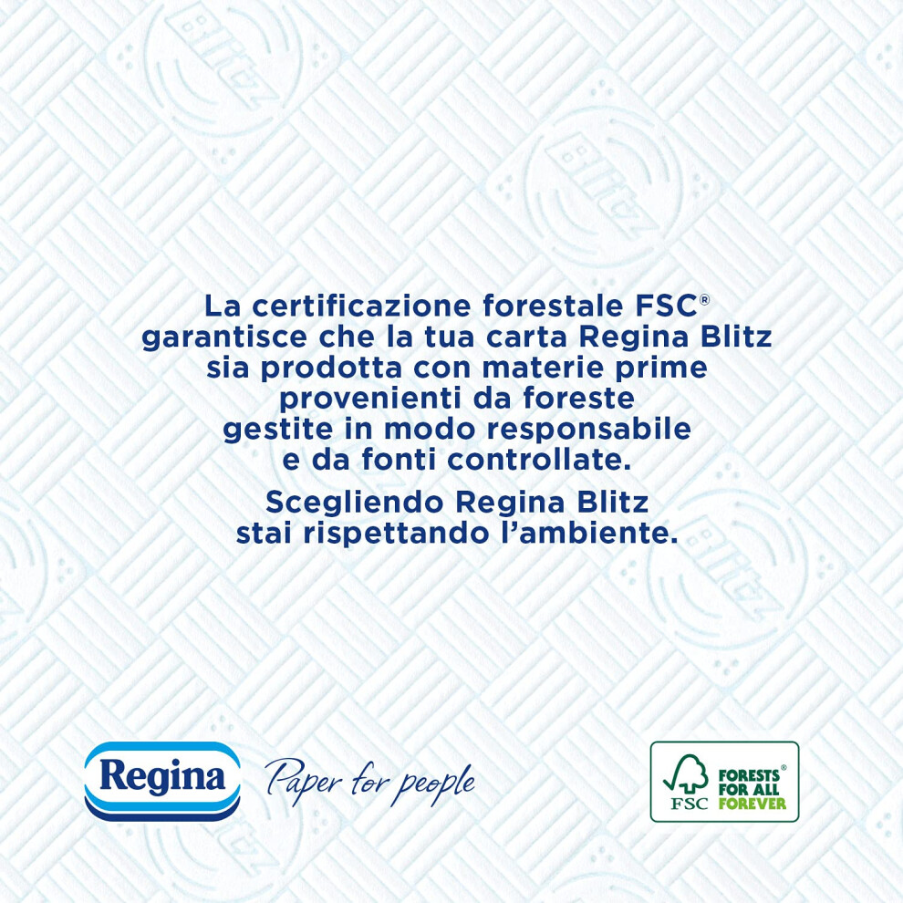 Regina Blitz Casa Paper, Pack Of 5 Rolls, 500 Maxi 3-Ply Sheets, Recyclable Paper, Clean And Dry In A Flash, 100% Fsc Certified Paper