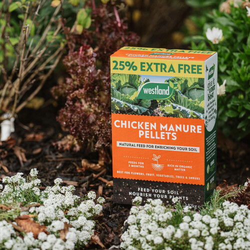 Westland Westland Chicken Manure Pellets 2.25Kg + 25% Extra free 2