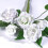 Renshaw Flower & Modelling Paste - White, 250 g (Pack of 1) 2