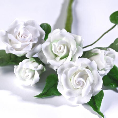Renshaw Flower & Modelling Paste - White, 250 g (Pack of 1) 1