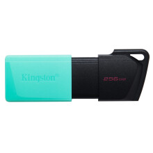 Kingston DataTraveler Exodia M USB 3.2 Gen 1 DTXM/256GB- with Moving Cap (Black + Teal)