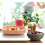 BEABA Béaba - Silicone Feeding Suction Plate - for Babies and Children - 4