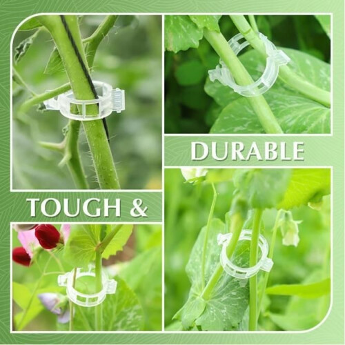 Secure Plastic Plant Clips - Universal - 200 Pieces - Transparent 1