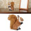 Decoration - SURENHAP - Plush Squirrel - Realistic - High Quality - For Children 4