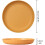 Camping Plates - Set of 6 - Unbreakable - Plastic - 22.5cm 4