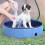 PawHut - Dog Pool - Plastic - 80x80x20cm - Blue 2
