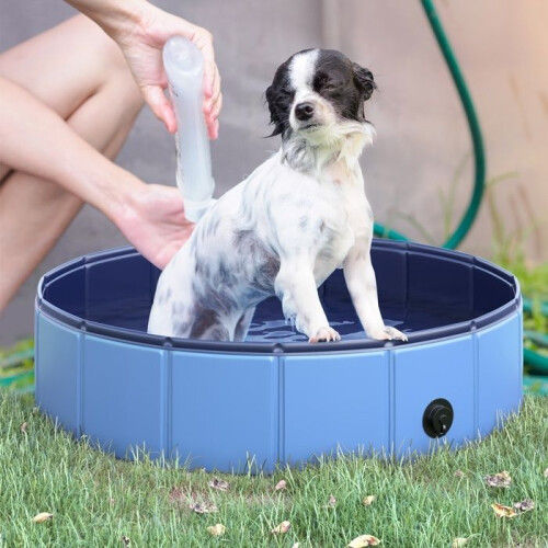 PawHut - Dog Pool - Plastic - 80x80x20cm - Blue 1