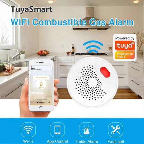 Ανιχνευτής συναγερμού φυσικού αερίου WiFi με αισθητήρα εύφλεκτου οικιακού α 2