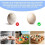 Electric Egg Cleaner Brush with Battery Level Display, 2 Speed Settings for Fresh Eggs and Vegetables 5