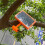 Smart Ultrasonic Bird Repeller Device Solar Powered Automatic Bird Repellent 4