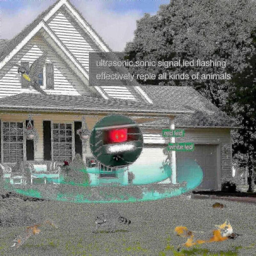 Professional electronic bird repeller version for pigeons, starlings, sparrows and seagulls 1