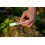 After Bite Original Pen 14 ml 4