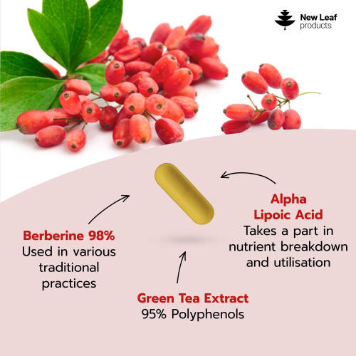 Berberine Complex + ALA Pure high Dosage With Added Green Tea Extract 1
