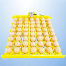 56 Eggs Incubator Turn Tray for Chickens, Ducks & Poultry - Automatic Egg Turning