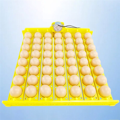 56 Eggs Incubator Turn Tray for Chickens, Ducks & Poultry - Automatic Egg Turning