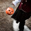 Lifelike Pumpkin Candy Bucket 6