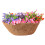 14" Natural Coconut Liners for Hanging Baskets 1