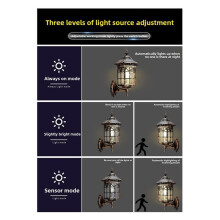 Applique Murale Solaire avec Détecteur de Lumière, Luminaire Extérieur avec Capteur Crépusculaire pour Porte de Garage ou Maison A