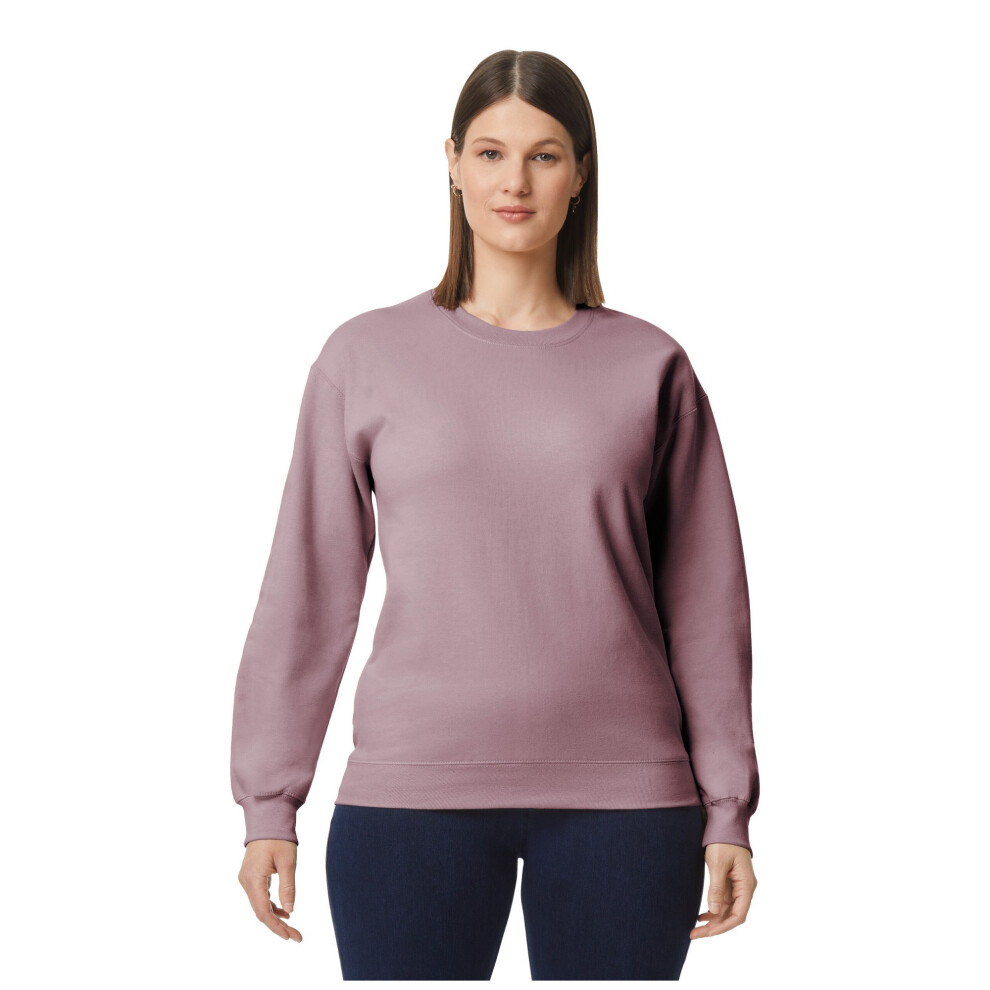 Gildan (3Xl, Paragon) Unisex Adult Softstyle Midweight Sweatshirt Multicoloured