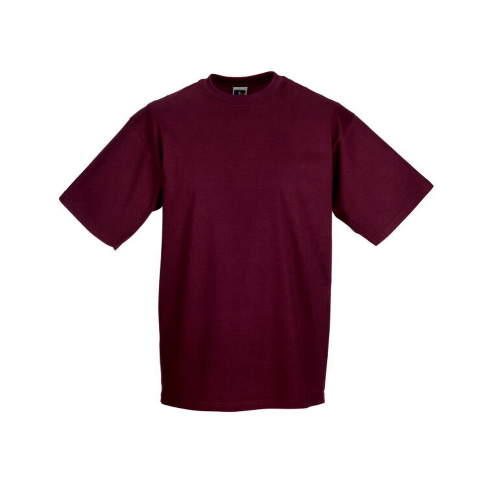 Russell (M, Burgundy) Mens Organic Short-Sleeved T-Shirt Red,Multicoloured