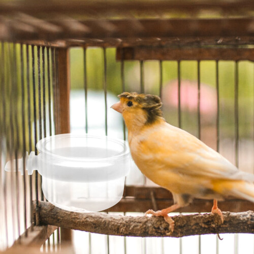1X PVC Vogeltränke Mit Futterhalter, Für Papageien 2