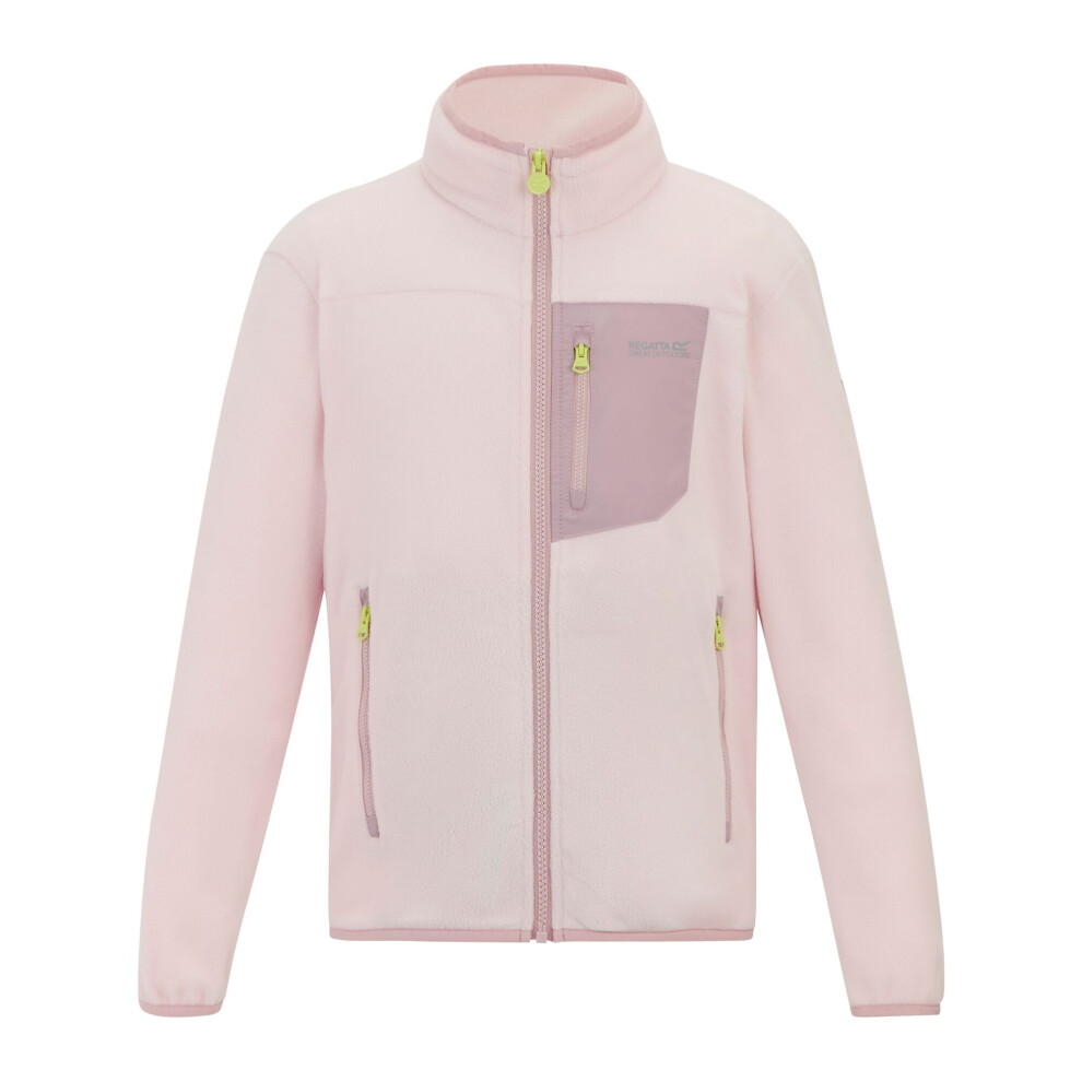 Regatta (15-16 Years, Haze) Childrens/Kids Frankie Full Zip Fleece Jacket Pink