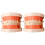 2Pièces Dents Standard Coloré Pour Enseignement Brossage 1
