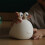 Cute Silicone Slug Night Light 20