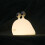 Cute Animal Night Light for Dorm 4
