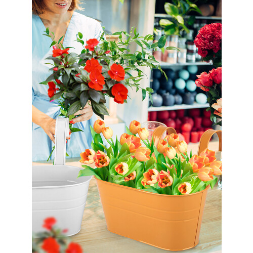 2 Pack Iron Hanging Flower Pots, Grey