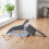 Beldray Beldray Antibac Countertop Dustpan & Brush Set 6