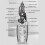 Electrical Wire Strippers Multifunctional Winding Wires Cable Crimper Wire Clippers Professional Wire Crimping Tool 5