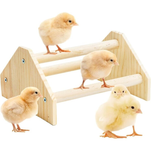 Supporto In Legno per Pappagalli, Supporto per Addestramento di Galli e Galline, Supporto per Uccelli, Supporto per Pulcini, Supporto per Galline, 1
