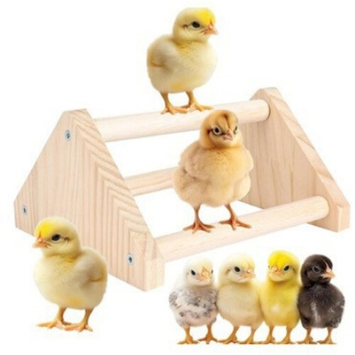 Supporto In Legno per Pappagalli, Supporto per Addestramento di Galli e Galline, Supporto per Uccelli, Supporto per Pulcini, Supporto per Galline, 2