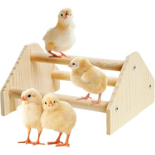 Wooden Stand, Rooster and Hen Training Stand, Bird Stand, Chick Stand, Chicken Stand, Sturdy