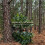 Hunting Concealment Branch Screening Stand,Portable Tree Stand Accessory, Adjustable Multi-Hook Camo Support for Hunting 5