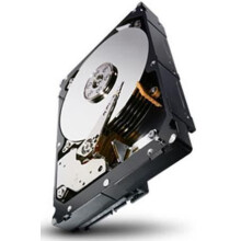 Seagate Constellation 1TB SATA 3.5" 7200rpm 6 GB/s 64MB 610g Silver/Black