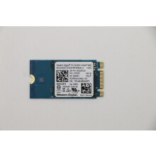 Lenovo SDK 1101 256G M.2 PCIe 2242 SS, 01FR578