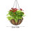 Coconut Coir Hanging Basket with Chain 1