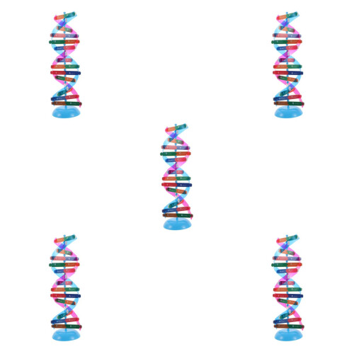 5Sets Selbstmontierbares Dna Modell Eva Plastik