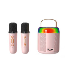 Karaoke Audio with 2 Wireless Microphones for Kids Adults, Portable Speaker Toy for Girls and Boy-