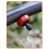 200pcs 2L Dripper, Pressure Compensated Drip Dripper, Used for Drip Irrigation System 4