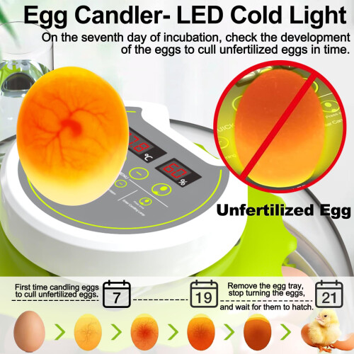 Egg Incubators for Hatching Eggs with Temperature Control, Poultry 1