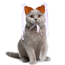 2Pièces Accessoire Cheveux À Motif Cuissot Pour Animaux