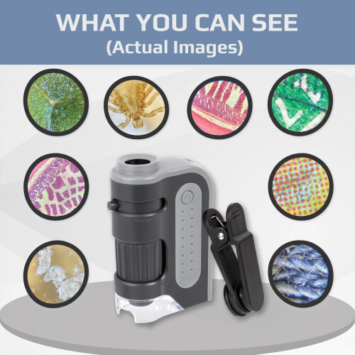 Carson MM-300 MicroBrite Plus 60 -120x LED Lighted Pocket Microscope, 2