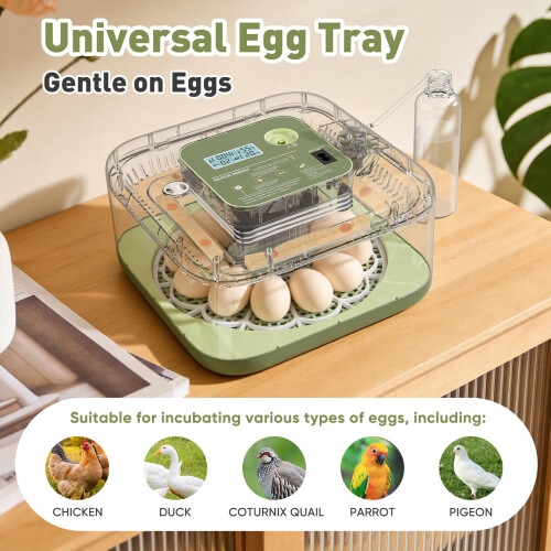 MYPIN 12-Egg Fully Automatic Incubator with Auto-Turning, Humidity & 2