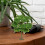 8Mini Arbres Modèles En Fer PVC Pour Décoratifs Verts 3