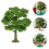 8Mini Arbres Modèles En Fer PVC Pour Décoratifs Verts 7