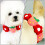 1Collier Ajustable Coton Pour Animaux Motif Fraise 3
